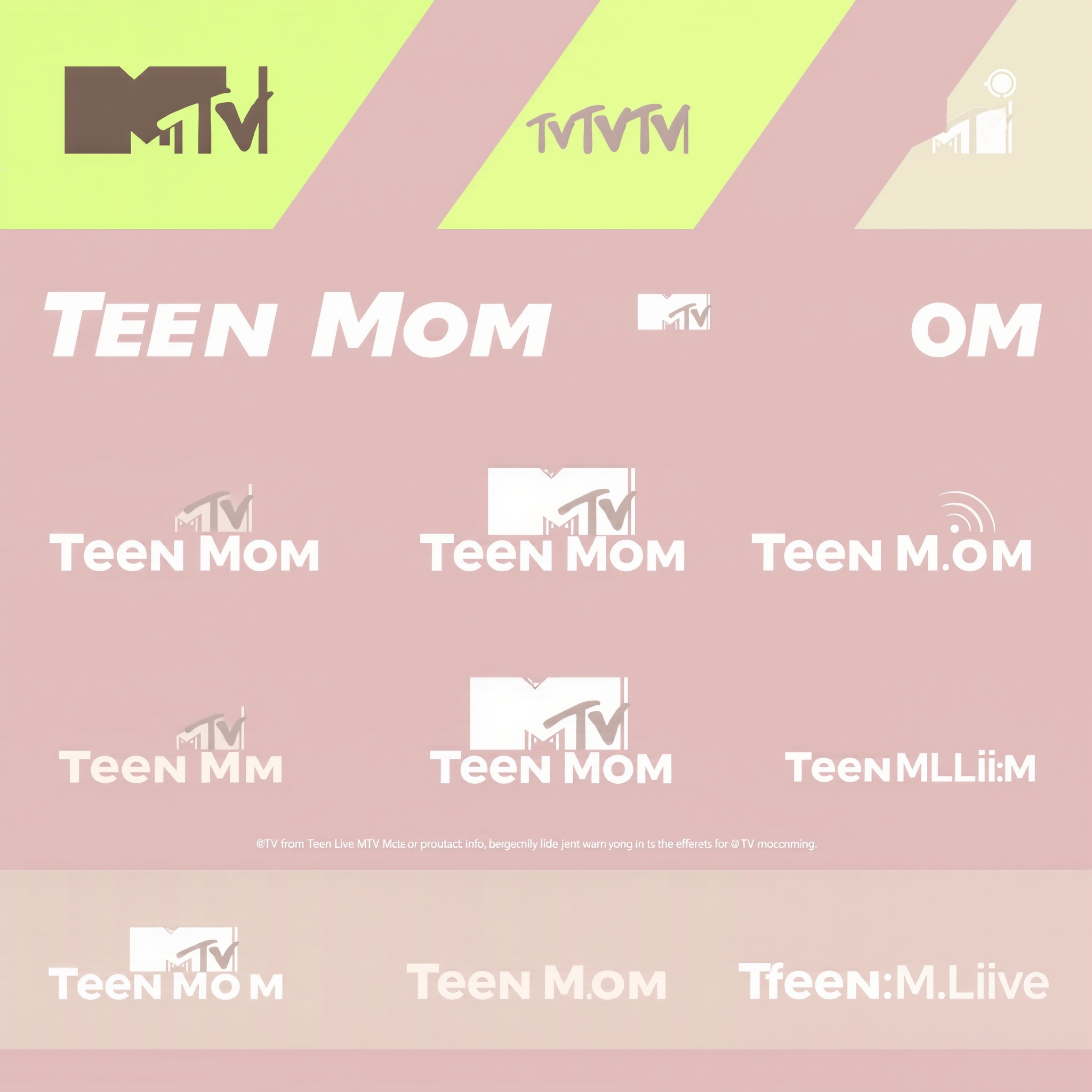 MTV Teen Mom