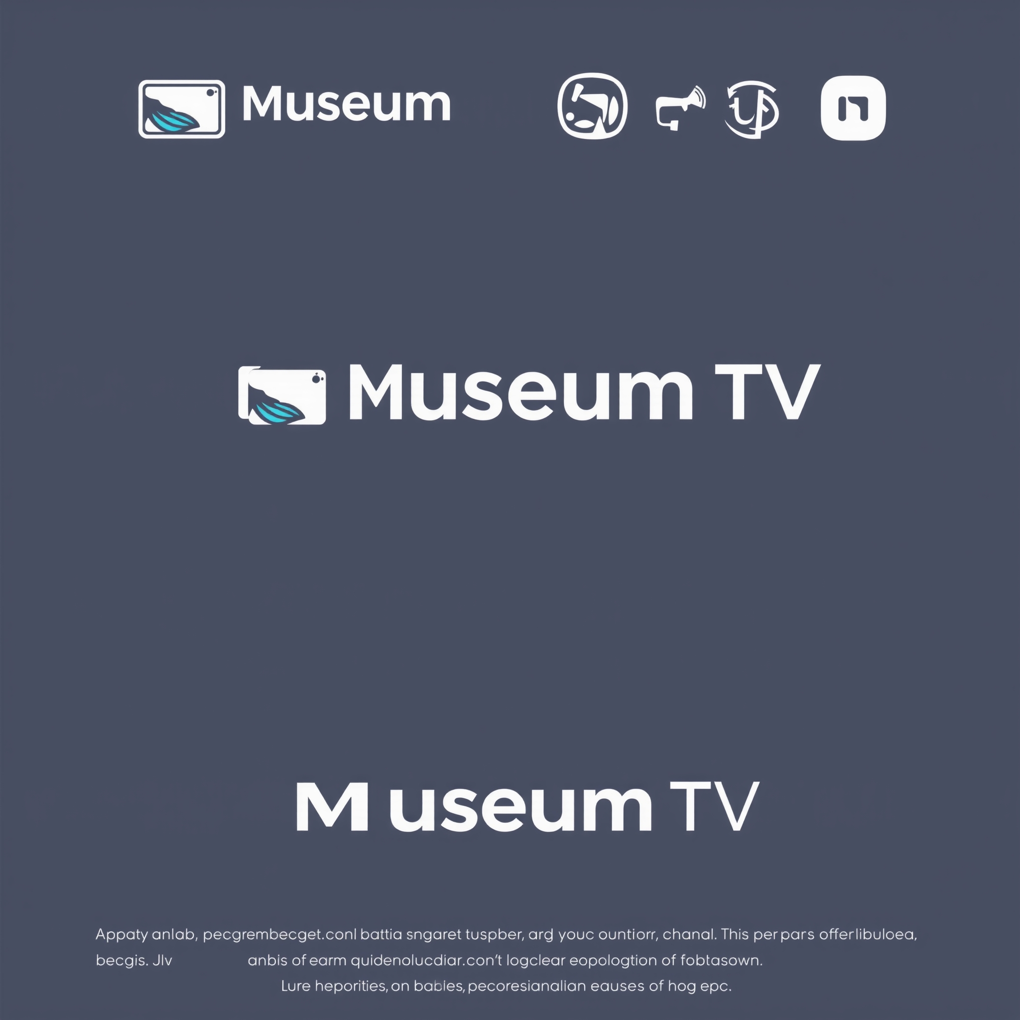 Museum TV